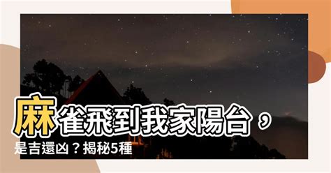 麻雀飛進家裡號碼|【麻雀飛到家裡】麻雀飛進家有啥神奇預示？竟和財運。